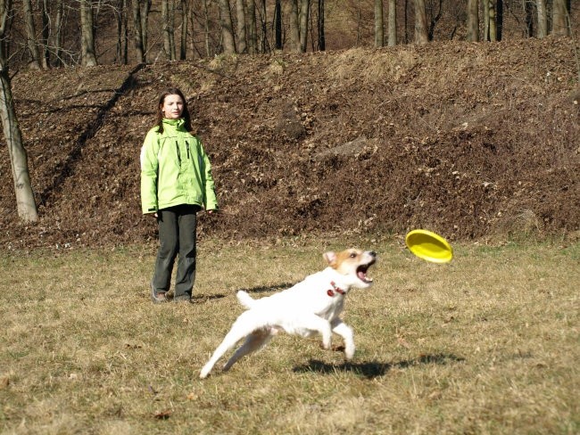 Sprehodi - foto povečava