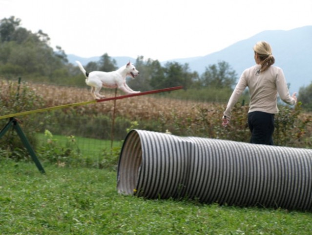 PRT žur 2007 - foto