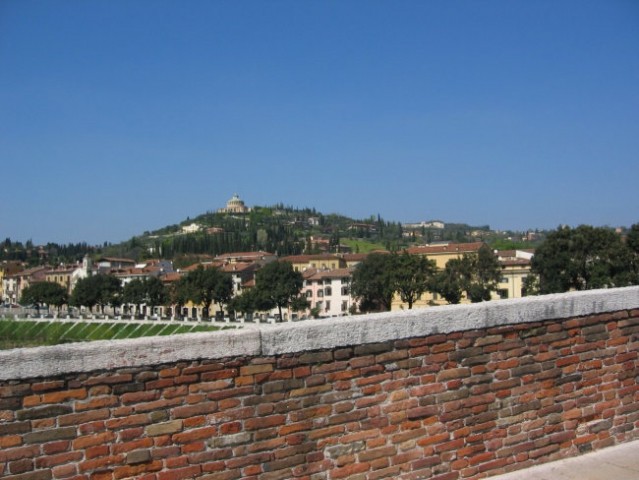 Verona-anka - foto