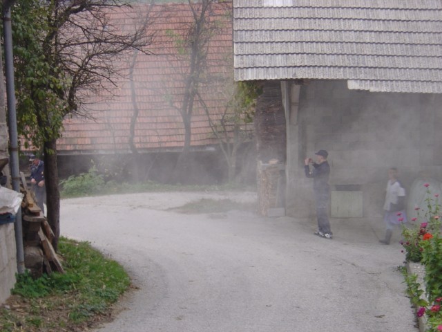 Vaja Zavine 2008 - foto