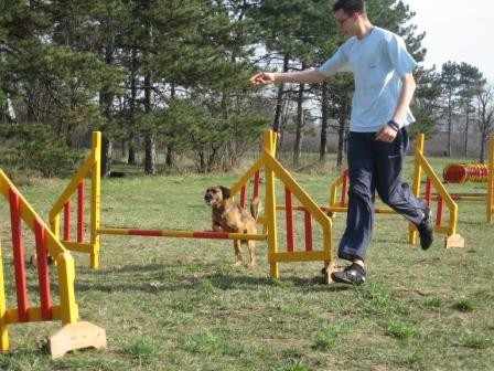 Agility - foto povečava