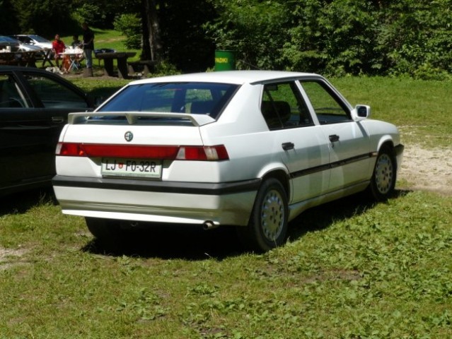 Piknik Logatec - foto