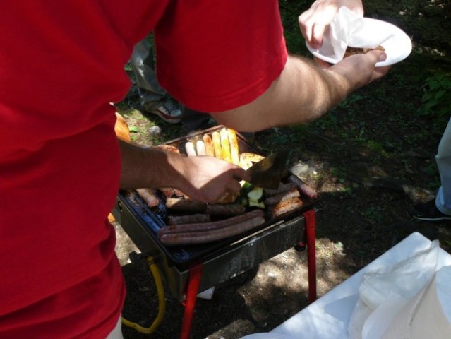 Piknik Logatec - foto