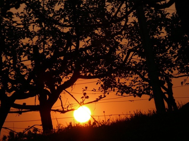 Zahod...