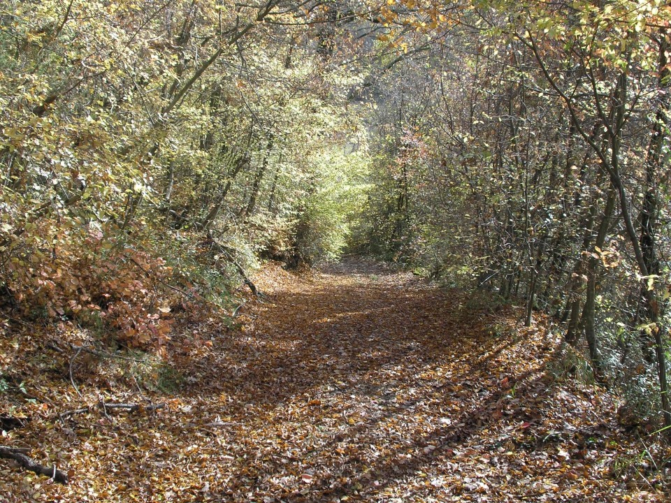 SLIKE PANORAMA - foto povečava