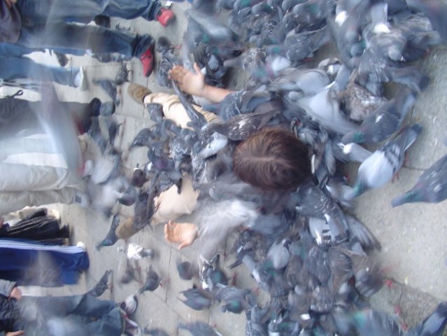 Eni majo pač potrebo po tem da golobi po njih hodji :DD 
slika 1