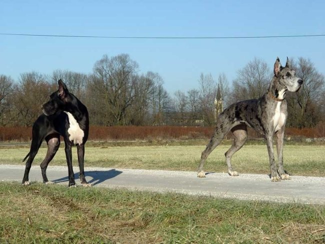 Sprehod 21.12.2004 - foto povečava