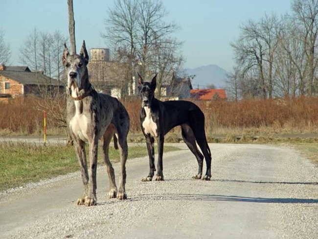 Sprehod 21.12.2004 - foto povečava