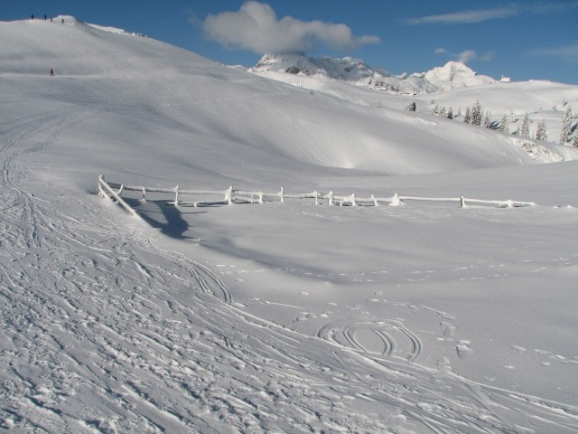 VELIKA PLANINA - foto