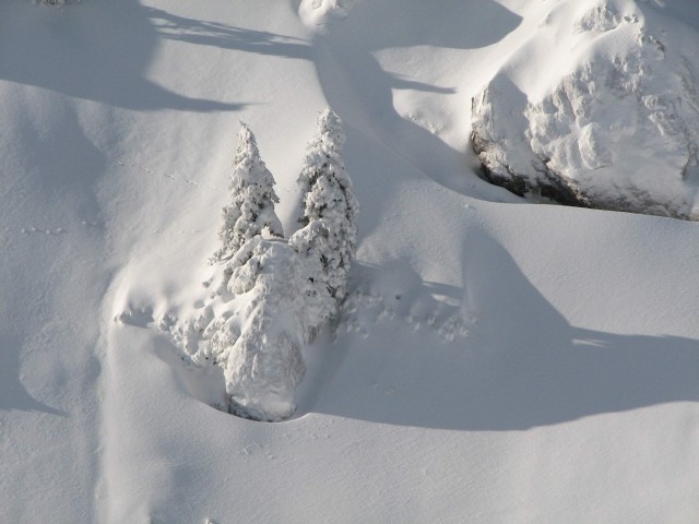 VELIKA PLANINA - foto