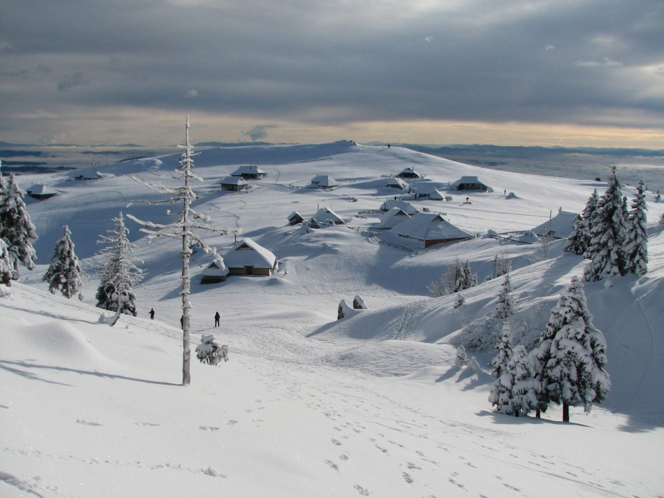 VELIKA PLANINA - foto povečava