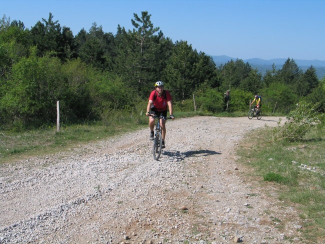 Volovja reber april 2007 - foto povečava