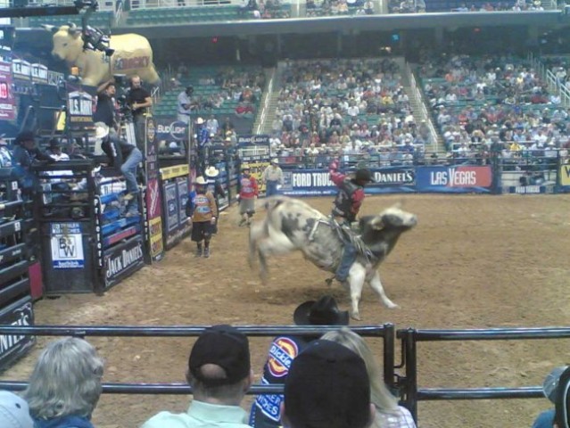 Bull Riding - foto