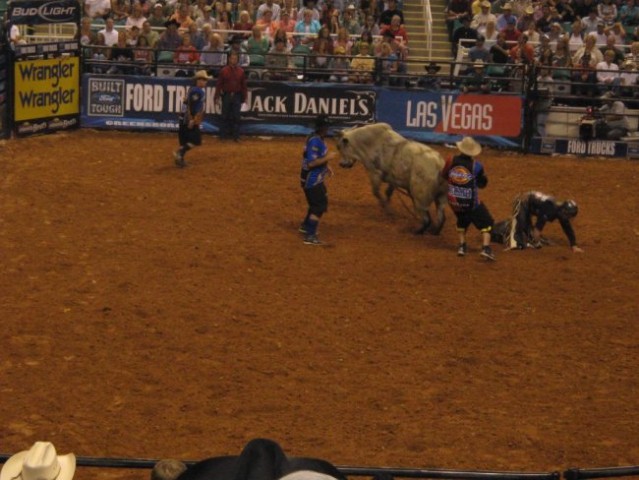 Bull Riding - foto