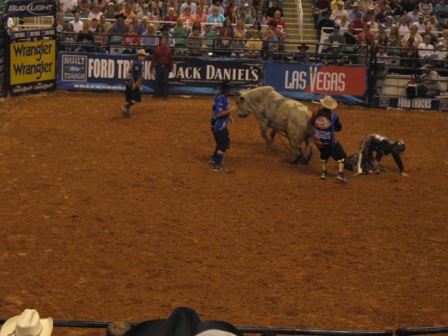 Bull Riding - foto povečava