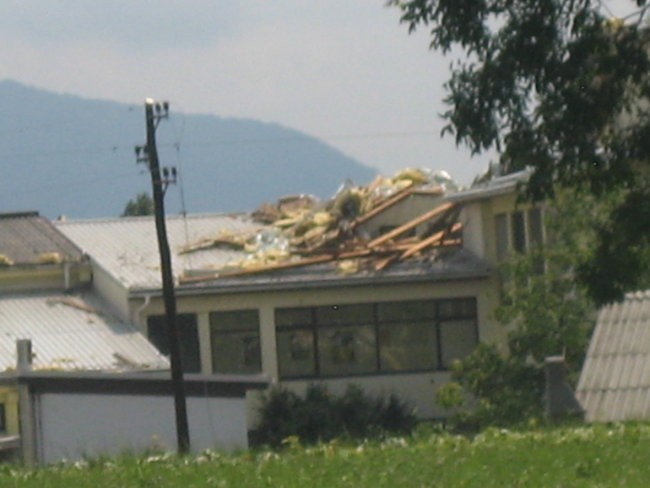 Neurje Vodice 13.7.08 - foto povečava