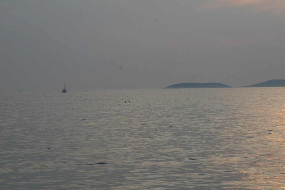 Jedrenje2009 - foto povečava