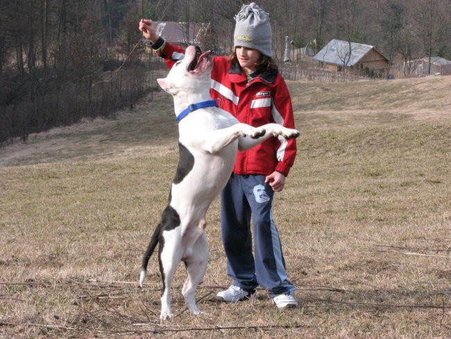 Spike- eno leto - foto povečava