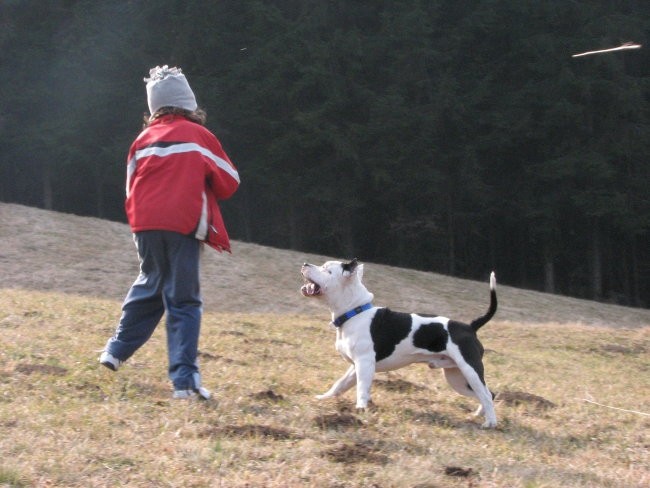 Spike- eno leto - foto povečava