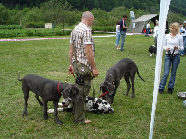 Alf - Hrušica, star 6 mesecev - foto