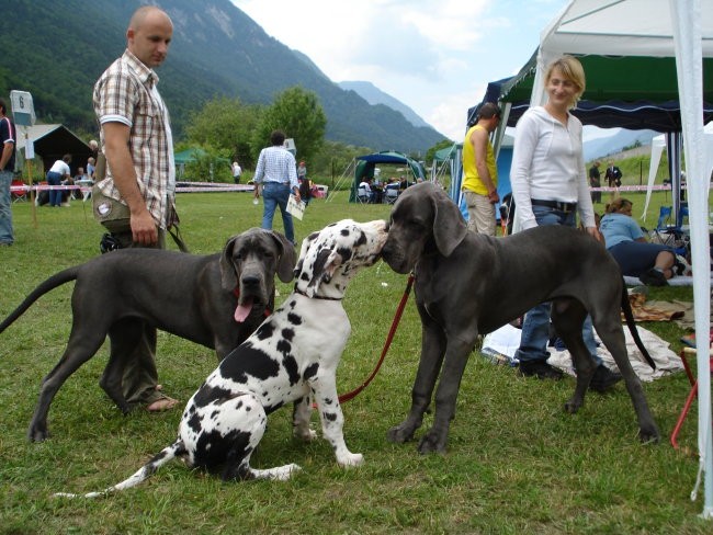 Alf - Hrušica, star 6 mesecev - foto povečava