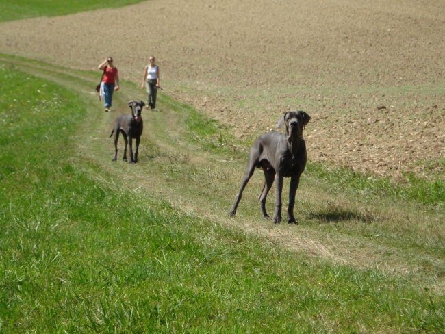 Alf in prijatelji - foto povečava