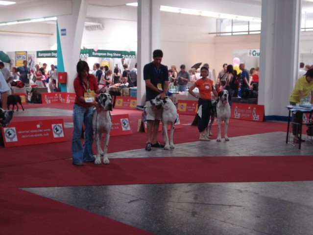 Eurodog show Zagreb - foto