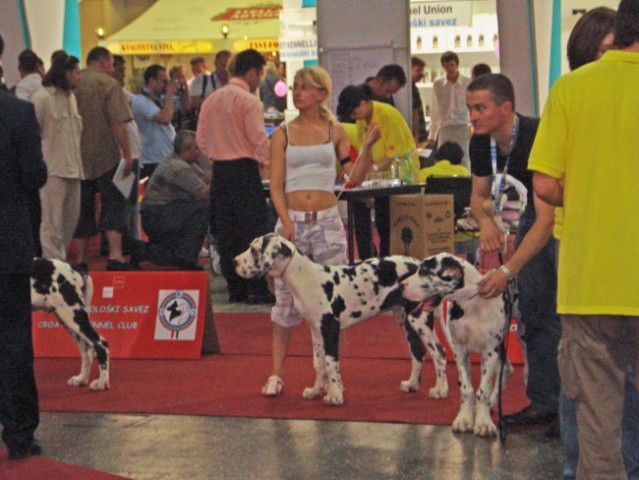 Eurodog show Zagreb - foto