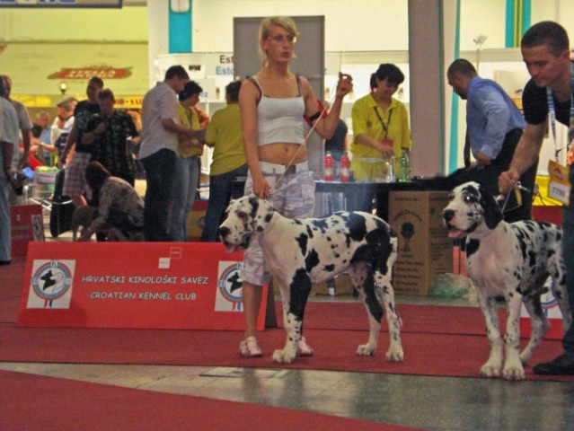 Eurodog show Zagreb - foto