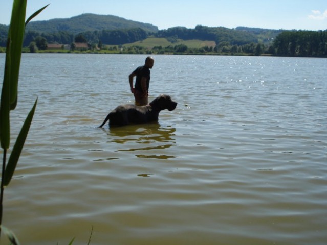 Alf na jezeru - foto