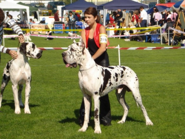 Lendava 2007 - foto