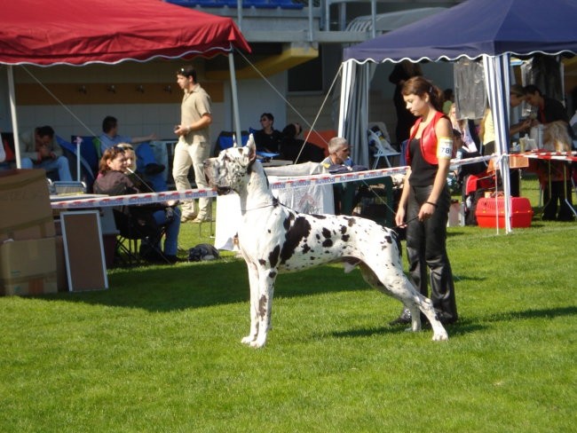 Lendava 2007 - foto povečava