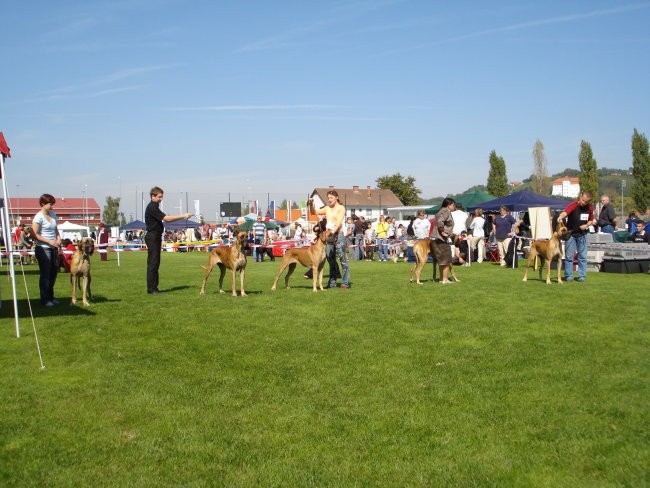 Lendava 2007 - foto povečava