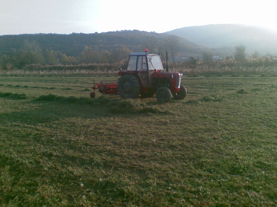 Kr neki - foto povečava