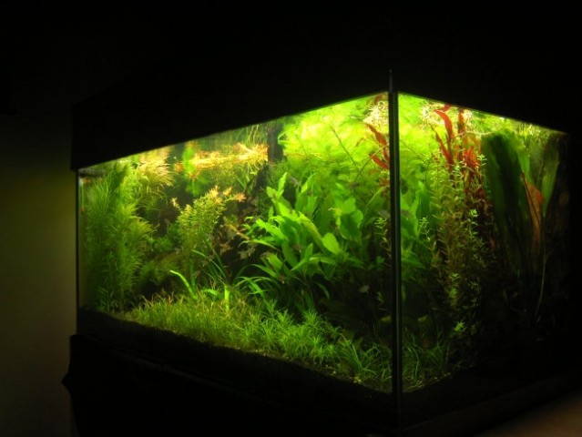 Akvarij 360l - foto