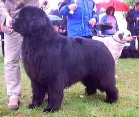 Druge pasme - foto povečava