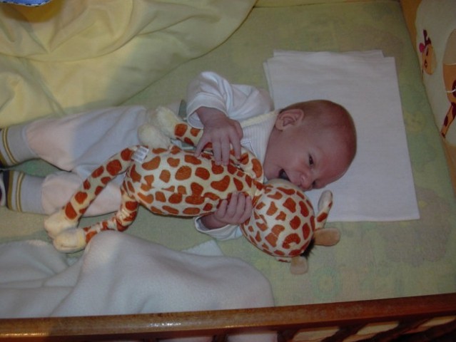 Moja, moja žirafa