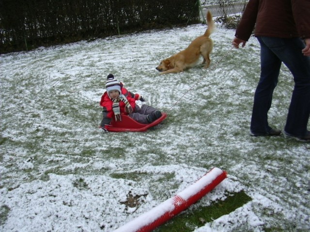 Ati me je peljal dva kroga s sankami in sva pobrala ves sneg...hahaha :-) no pa saj gre po