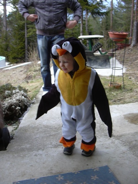 Naš mali pingvinček ;)