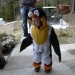 naš mali pingvinček ;)