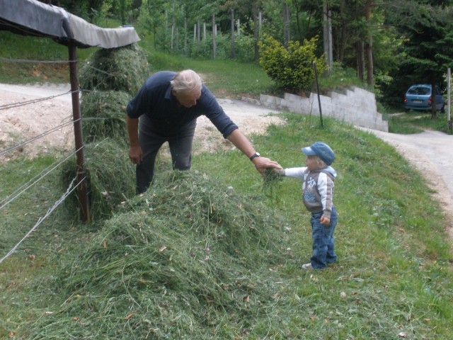 Maj star leto in pol - foto