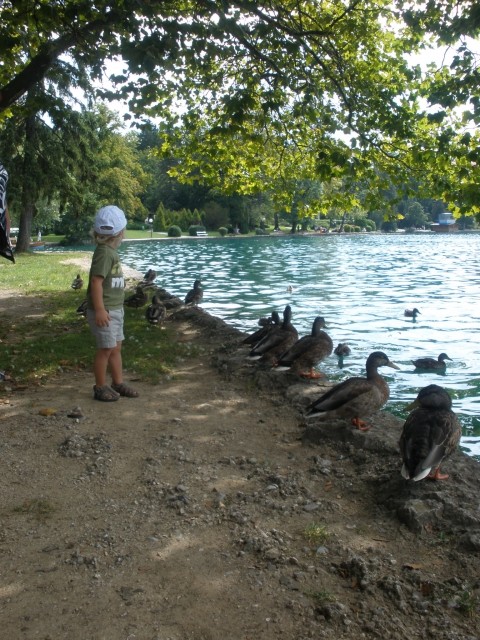 Izlet na Bled in Bohinj 18.8.2009 - foto