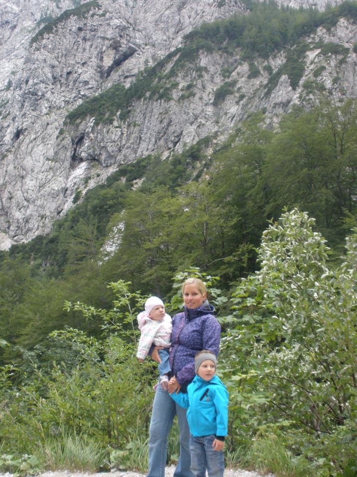 Logarska dolina - foto povečava