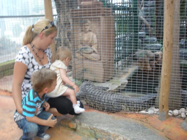 Mini zoo - foto