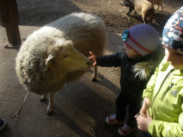 Mia šestnajsti mesec - foto