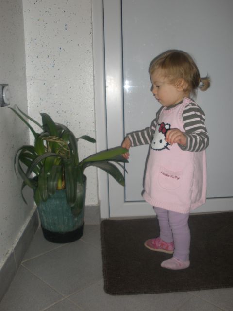 Mia šestnajsti mesec - foto