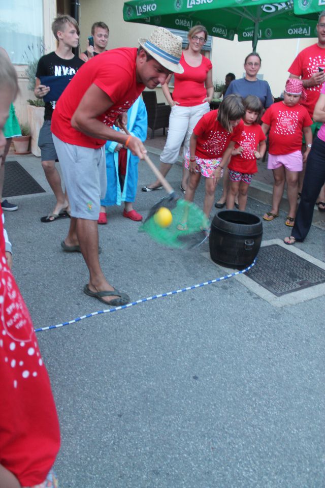 Poletje 2014 - foto povečava