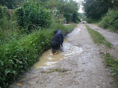 Http://brrreza.moj-album.com/ - foto povečava