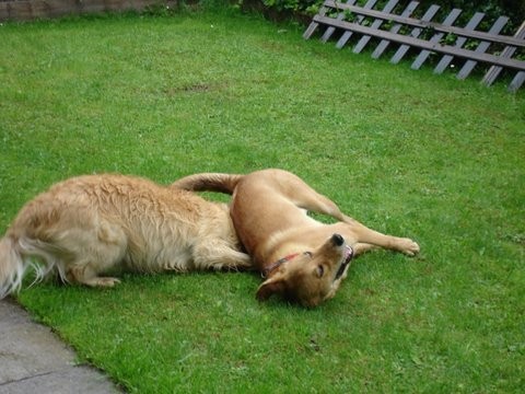 Ajka na počitnicah 2008 - foto povečava