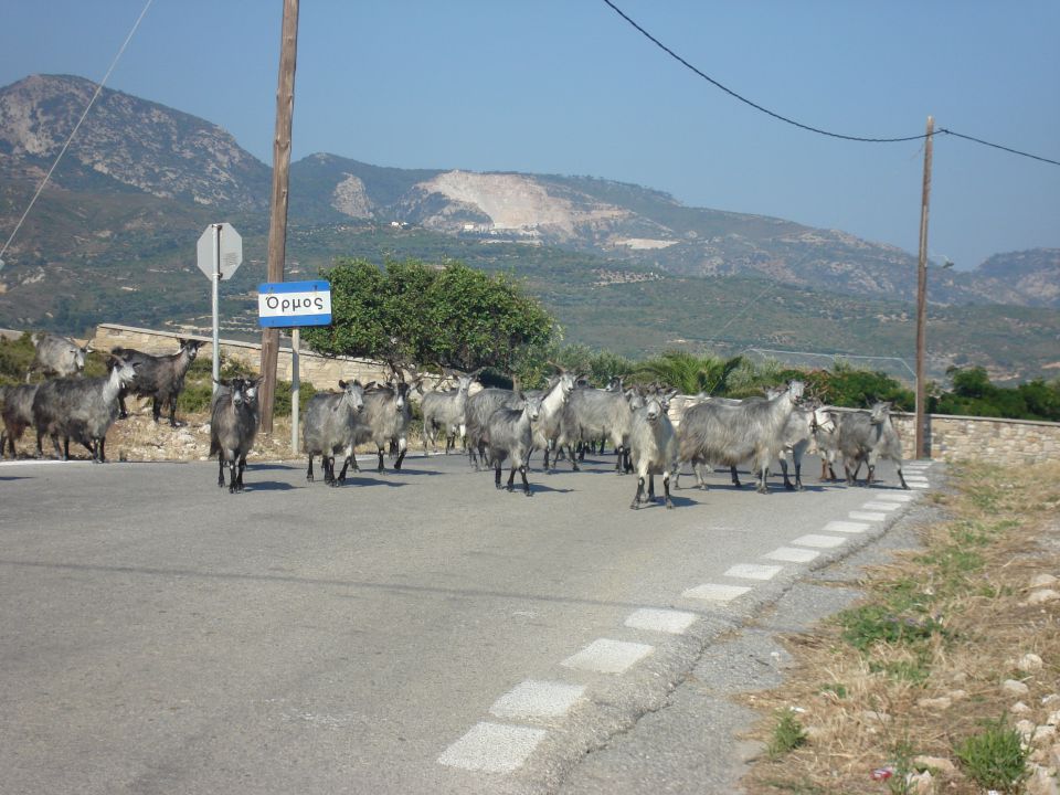 Samos - foto povečava